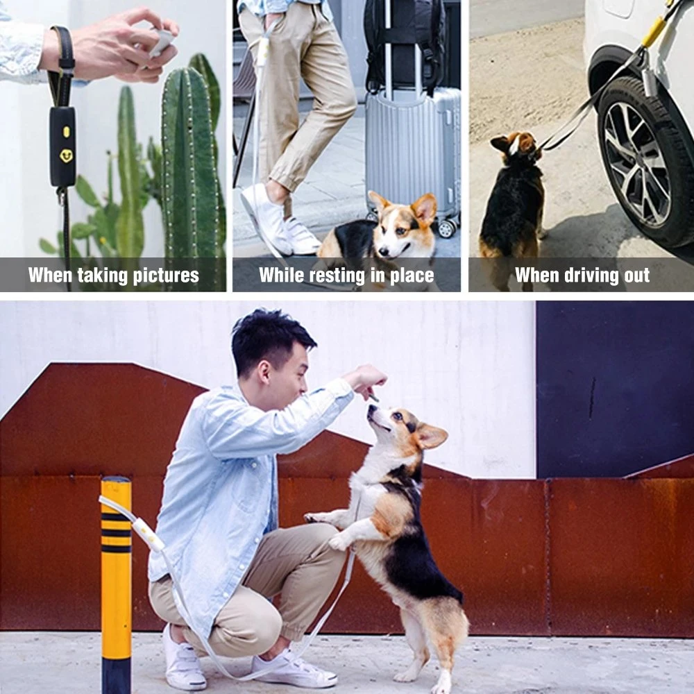 Pet Supplies Dog Hand Holding Rope Small and Medium-Sized Dogs Dog Leash Elastic String Tie Dog Chain Dog Accessories