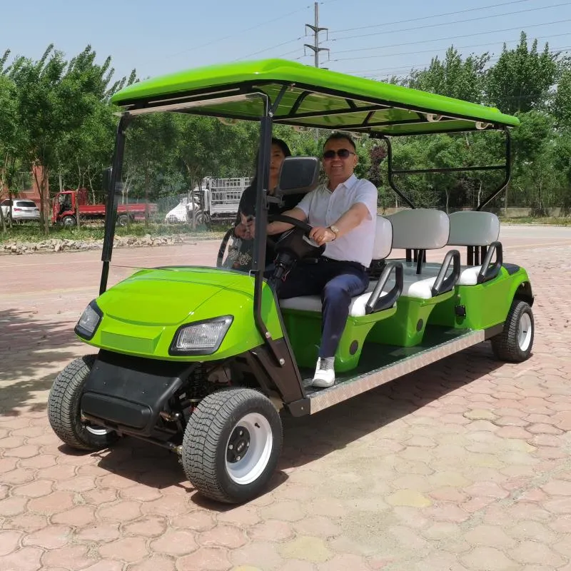 CE Approved Golf Cart Cargo Low Prices Electric Golf Car with Folded Back Seat