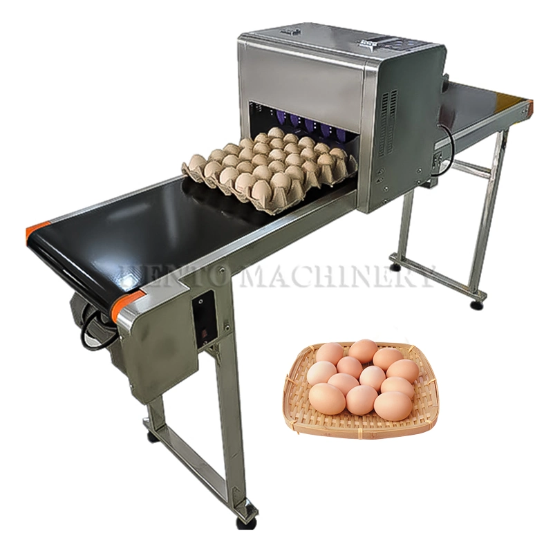 HENTO Factory Automatic Egg Date Coding Printing Machine / Egg Inkjet Printer