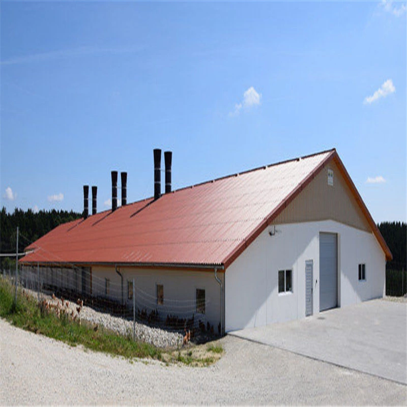 El bastidor de acero prefabricados de estructura de la construcción de pollos de granja de aves de corral Gallinero prefabricados con el conjunto completo Equipo para avicultura Equipo para la fábrica de pollo