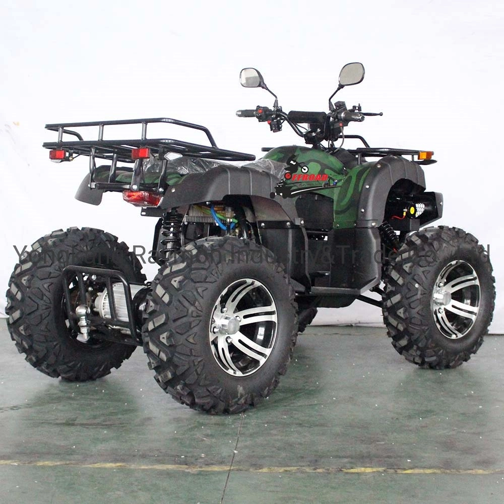 Wholesale/Supplier ATV Quad Bike Electric 4X4 3000W Shaft Drive for Kids