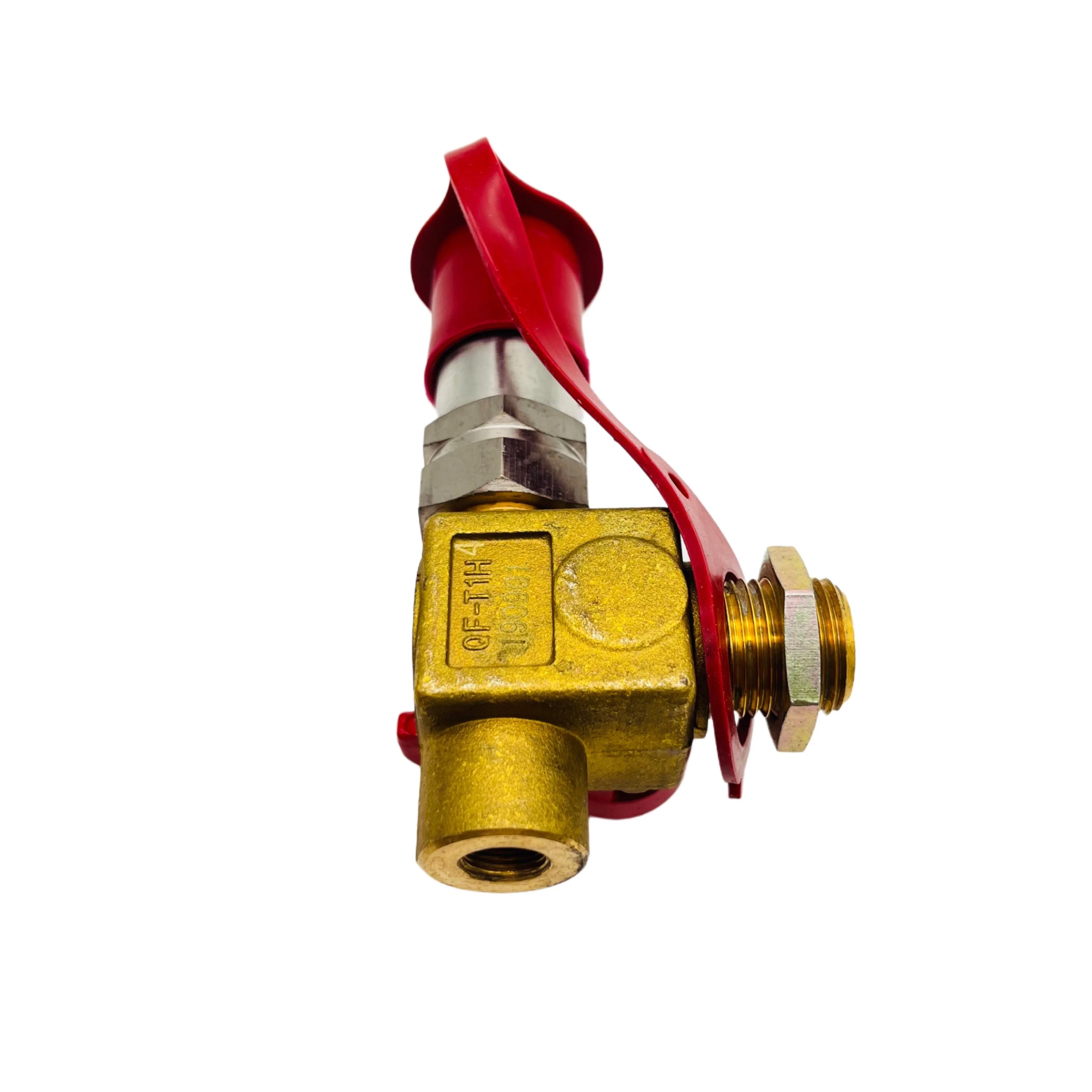 M12*12.5 Female Thread Qf-T1h4 Natural Gas Valve