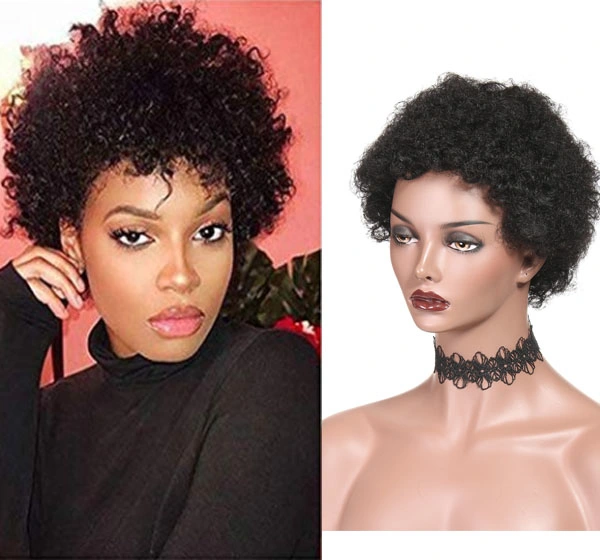 Afro Wigs for Black Women Short Human Hair Wigs