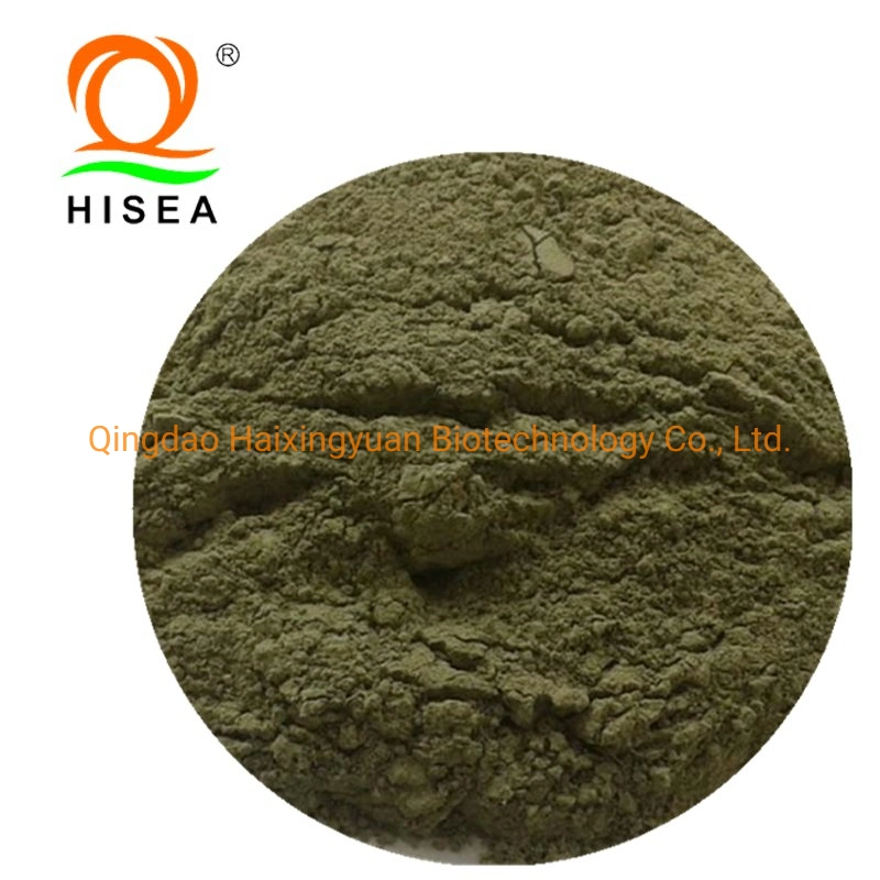 Pure Green Seaweed Powder Ulva Lactuca Seaweed Powder for Animal Feed