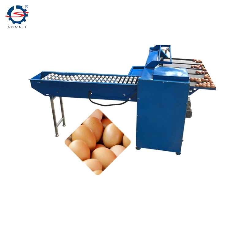 Stainless Steel Eggs Sorting and Candle Machine Goose Eggs Grading Machine