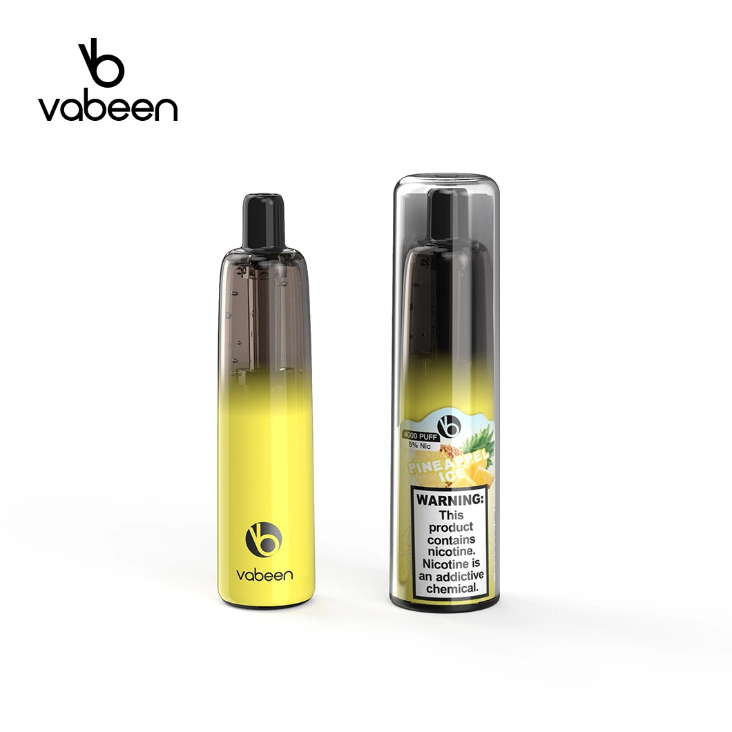 Vabeen 12ml Disposable/Chargeable Electronic Cigarette 11 Best Flavors Mini Disposable/Chargeable Vape Pen