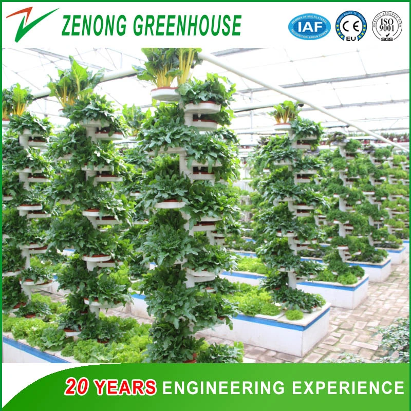 Modern Style Multi-Span PC/Glass/Film Greenhouse for Tomato /Cucumber / Strawberry Hydroponic Growing