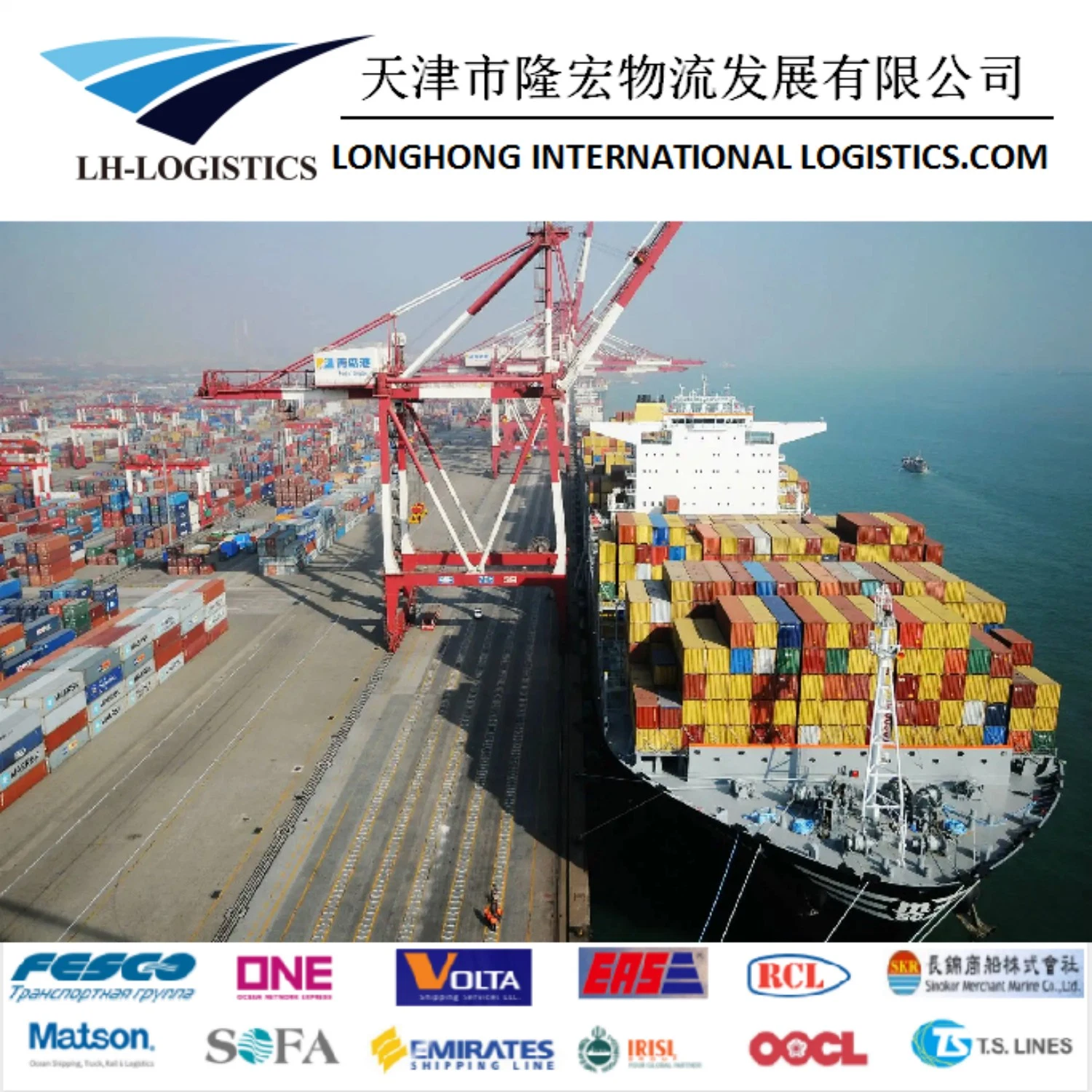 Professional Sea Forwarder Shipping Agent Freight Cost Rates China to India 1688/Alibaba