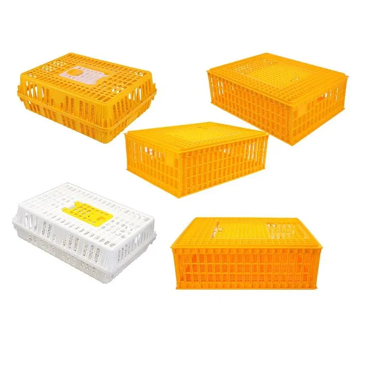 Best Selling Chicken/Broiler plástico Transporte Crate/Cage/Box