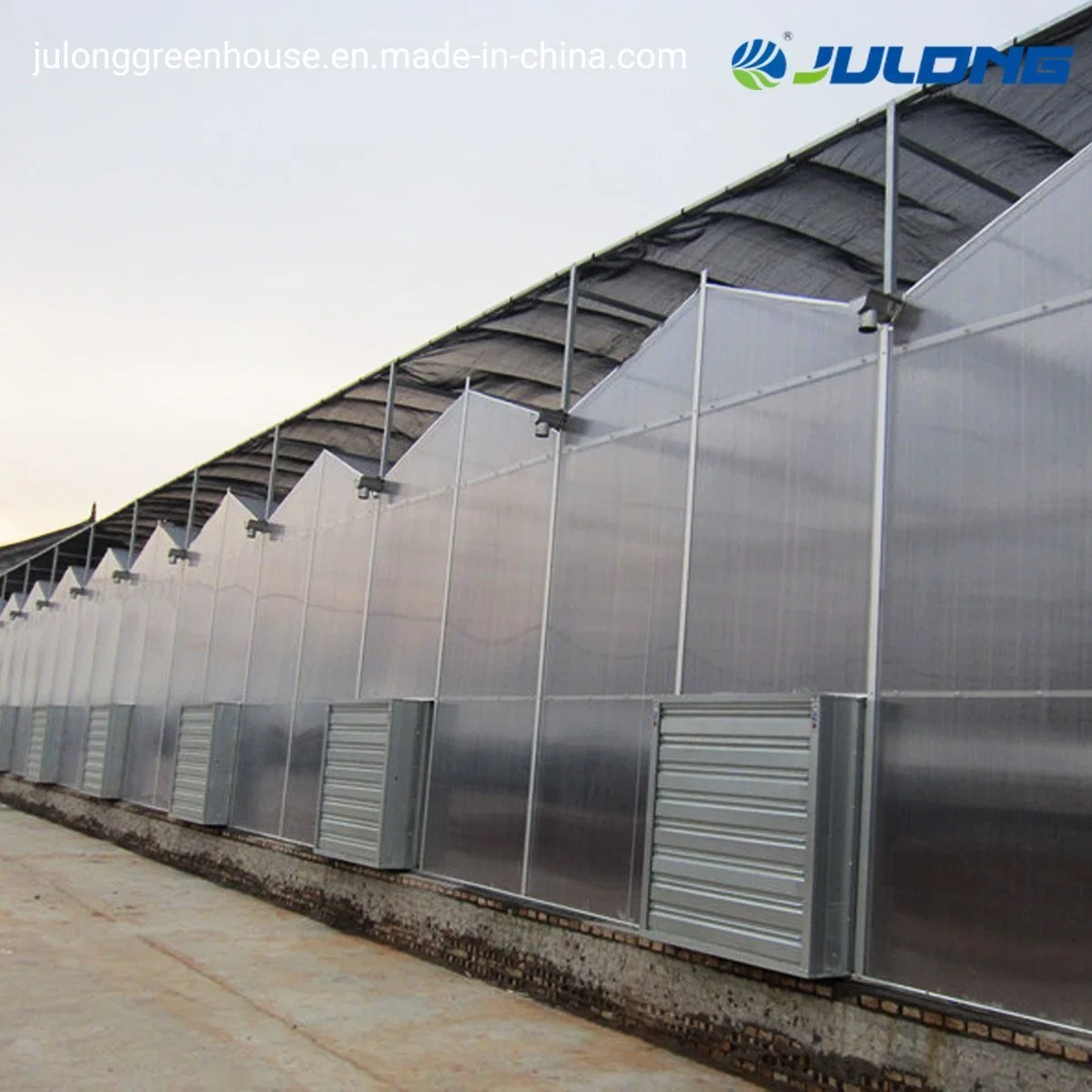 Venlo Type Polycarbonate Greenhouse with Hydroponics System for Flower/Vegetable/Fruit Growing