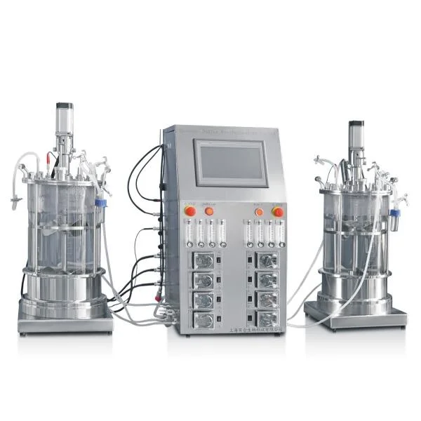 Diagrama Muti-conectado de vidrio industrial lecho empacado biorreactores fermentador