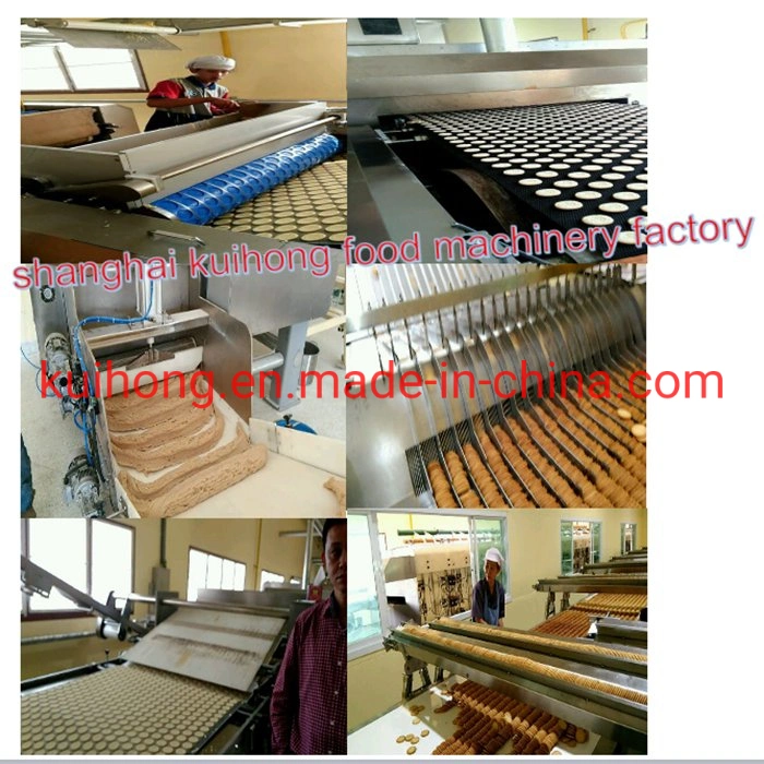 SUS304 Soft and Hard Biscuit Making Machine