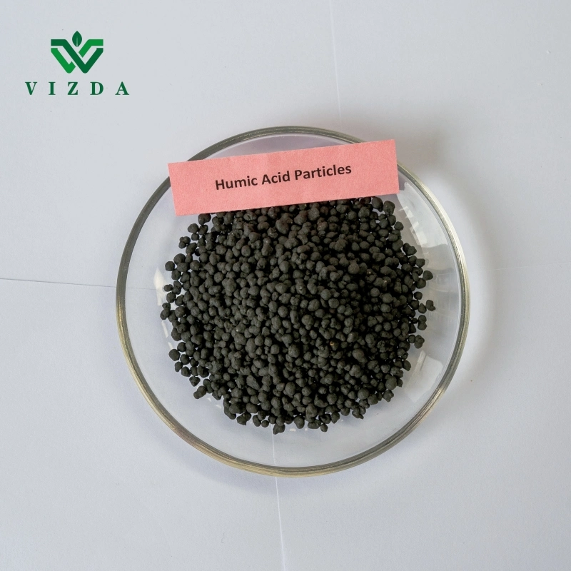 Organic Fertilizer Humic Acid Ball Base for Plant Use