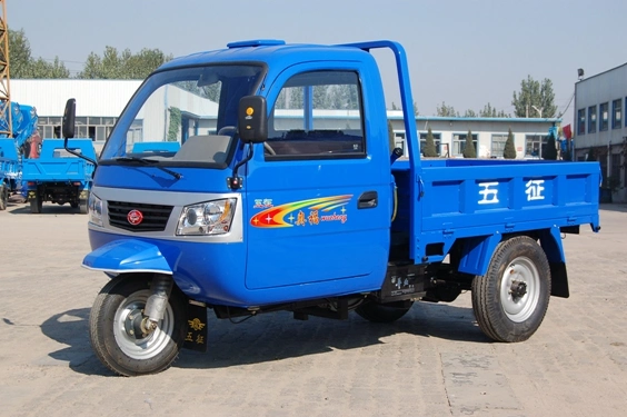 WUZHENG Closed Cargo Diesel Motorized 3-Wheel Tricycle with Cabin From China