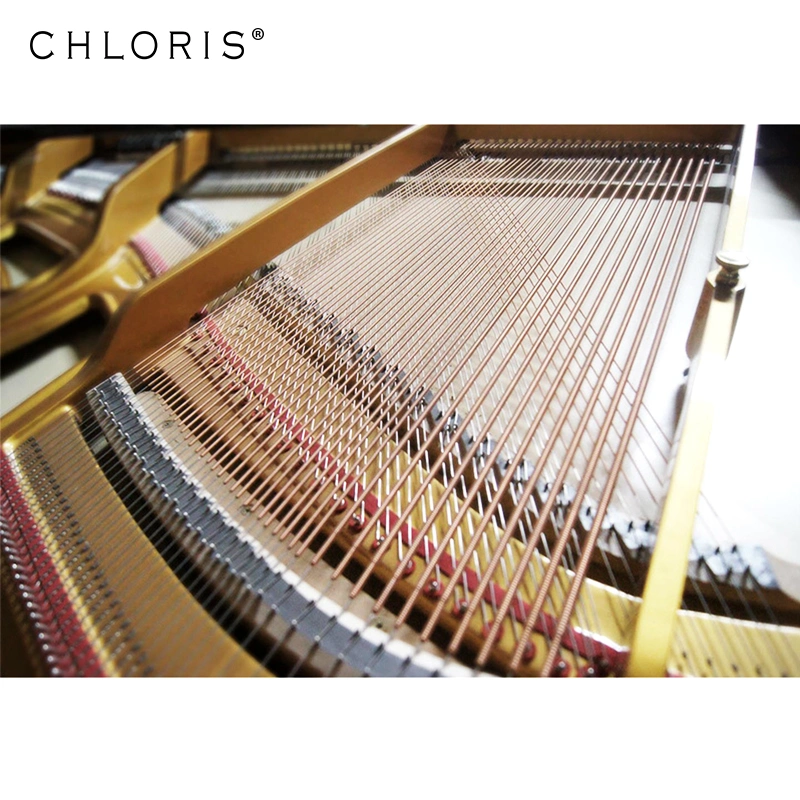 Chloris Acoustic Piano Grand Hg158e Good Quality and Cheap Prices From China