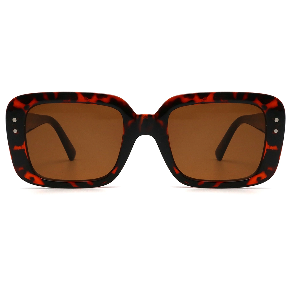 Оптом CP Injection Temple Purple Cuccii Luxury Tortoiseshell Men Women Солнцезащитные очки