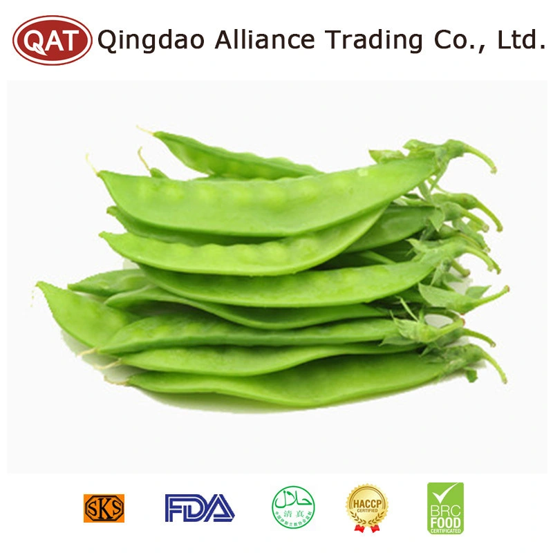 Fabricante China Buen Precio congelado las vainas de guisantes Guisantes para la cocción de venta al por menor comercio al por mayor