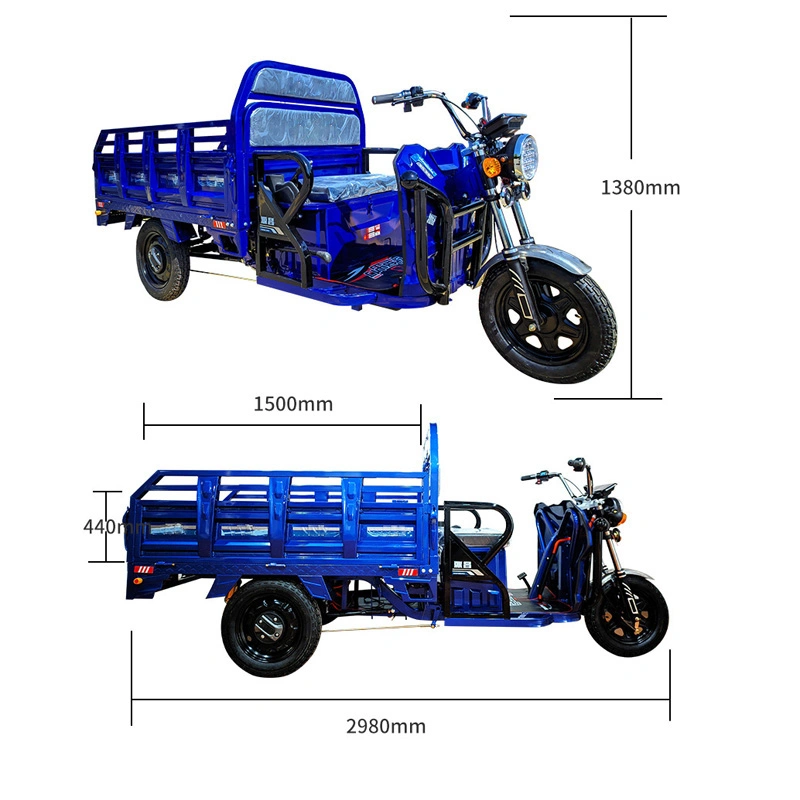 1000W Tricycle de Cargo à Distance Longue Électrique Rickshaw (CT-001)