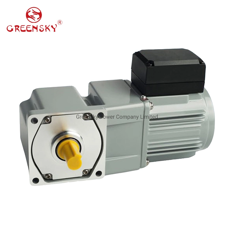 370W 100mm Right Angle Speed Controller Induction AC Motor