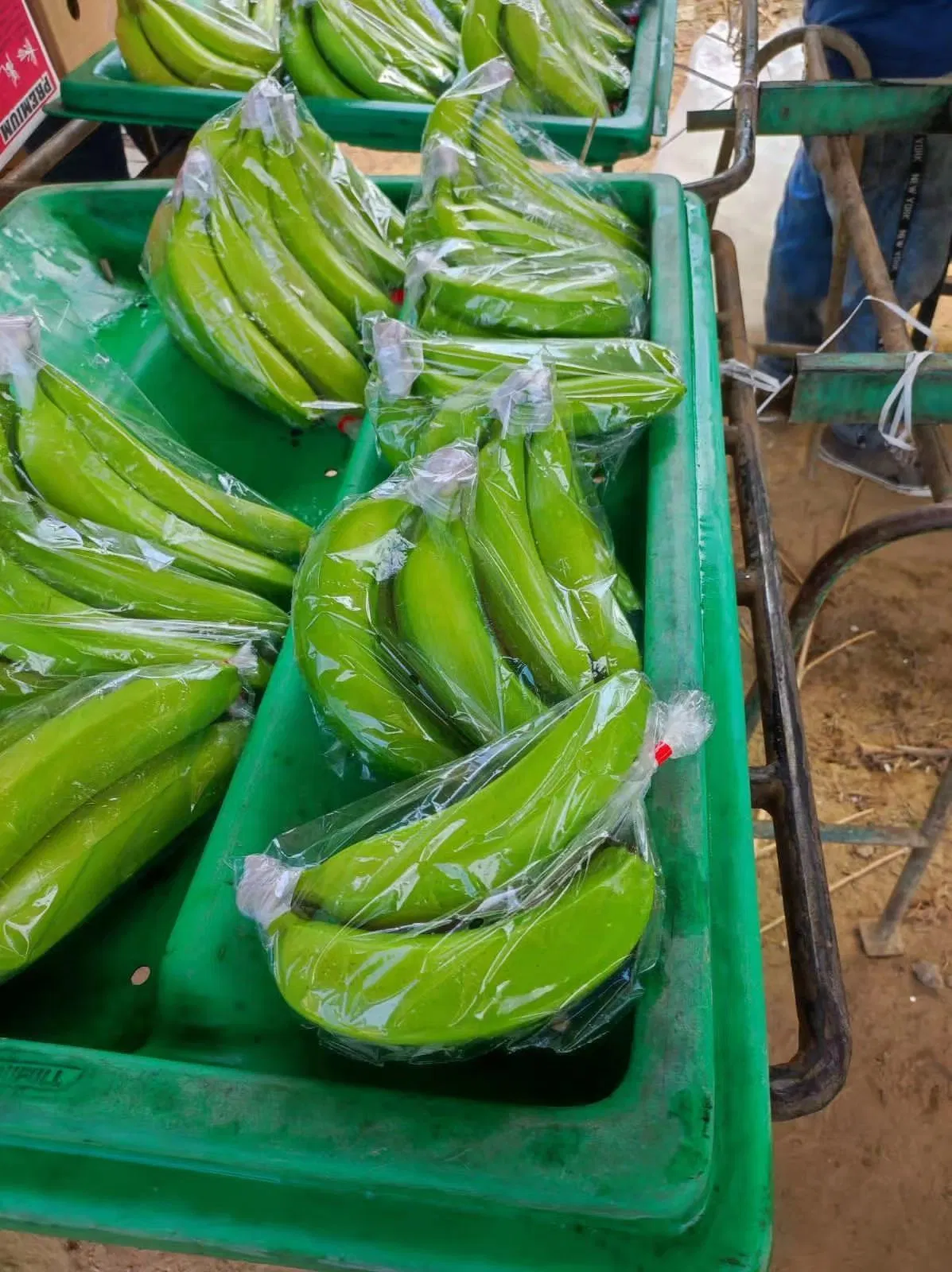 PVC PE PP plátano fruta en forma de arco bolsas bolsas Bolsa hacer máquina de producción con perforadora