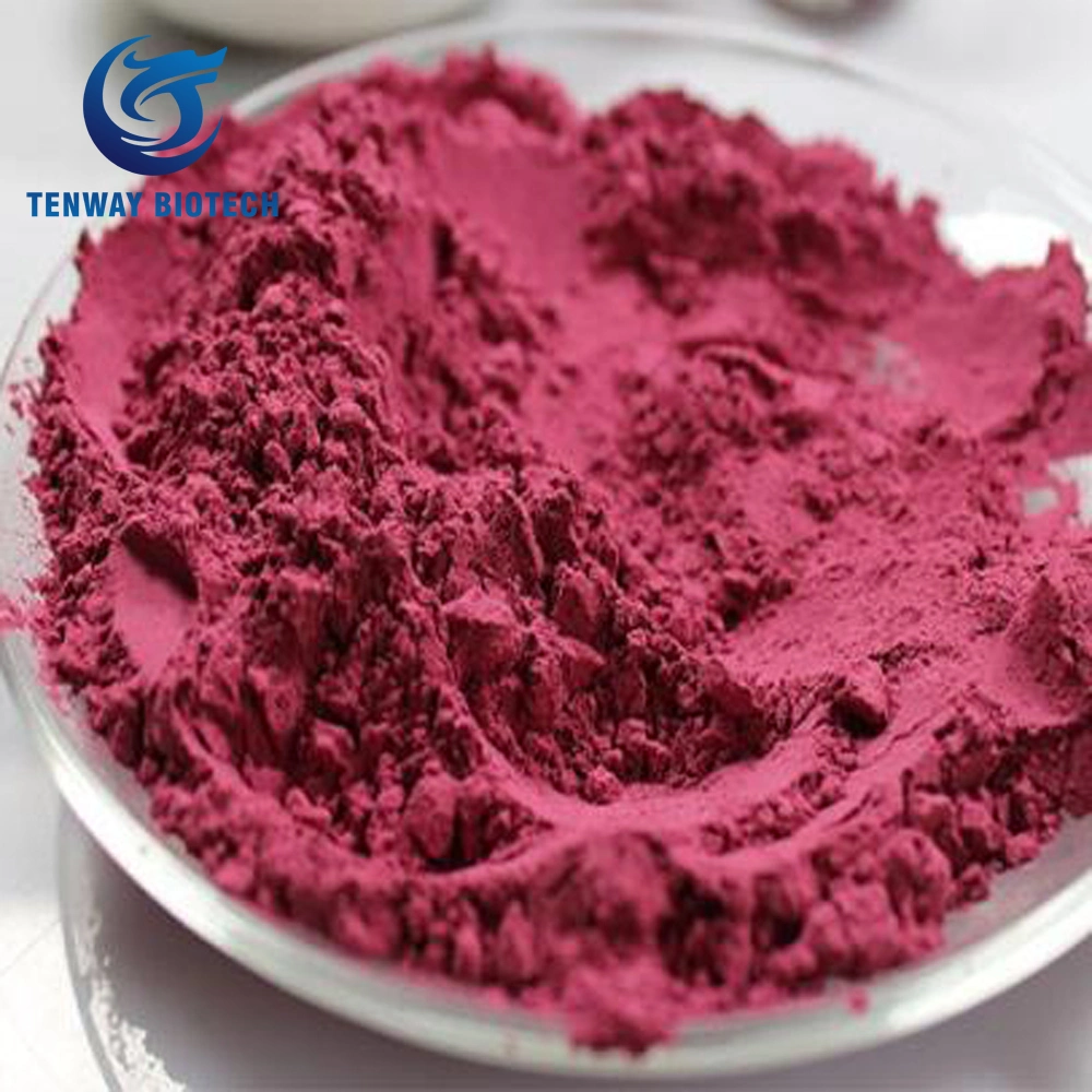 100% Pure Natural Food Colorant Beet-Root Concerntrated Juice Powder for Health Product