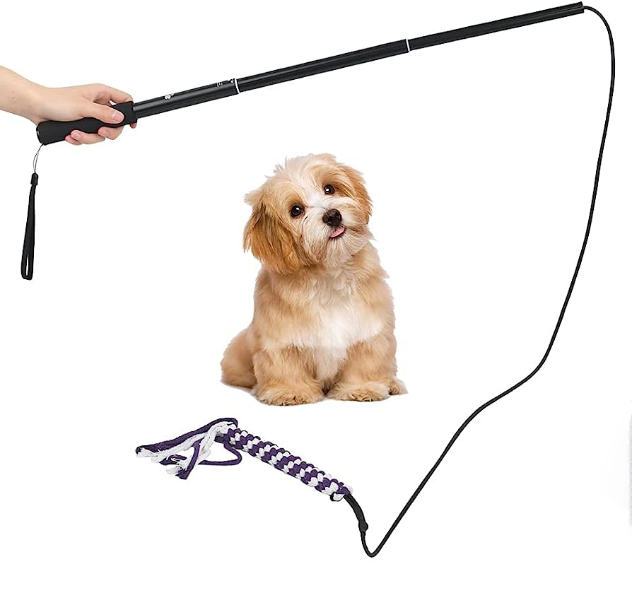 Wholesale/Supplier Outdoors Extendable Interactive Dog Chewing Flirt Poles