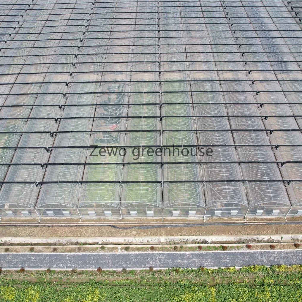 Factory Price Top Quality Multi Span Tunnel Greenhouse Steel Structure Tube with Blackout System and Po Film 150~200microns