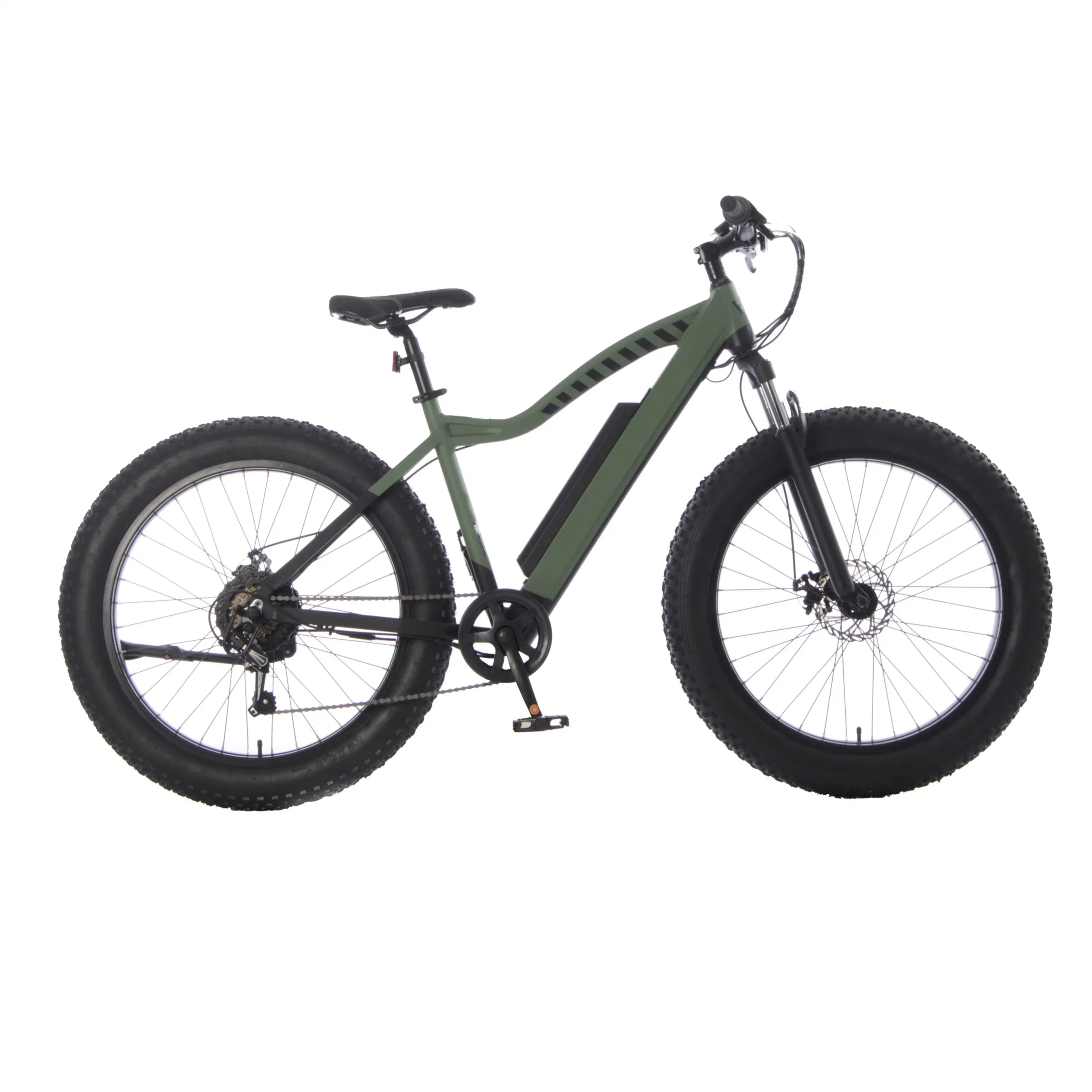 26 Inch Best Design Cheap Electric Fat Bike off Road with Front Fork Suspension Electric Mountain Dirt Bike
