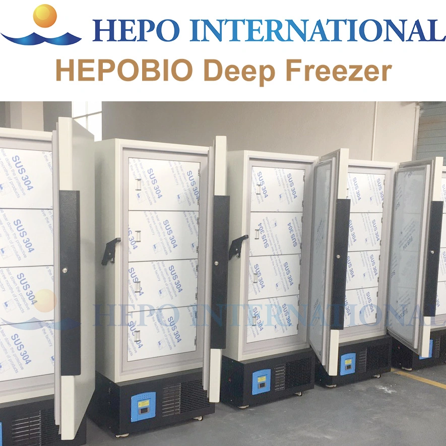 Large Capacity Laboratory Biogical Sample Storage Ultra-Low Temperature Freezer