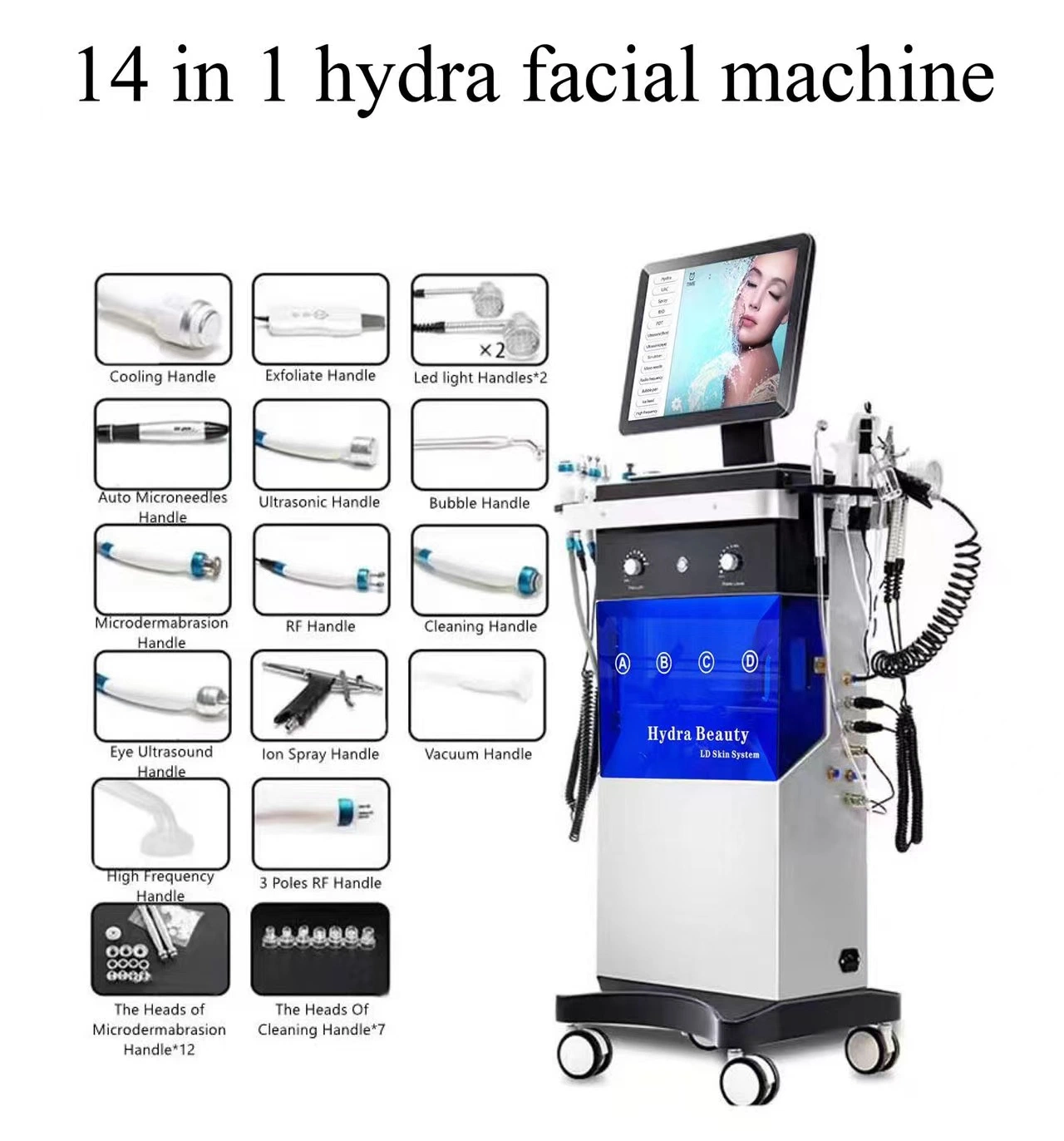 14 in 1 Multi RF Laser Dermabrasion Facial Cleaning Machine