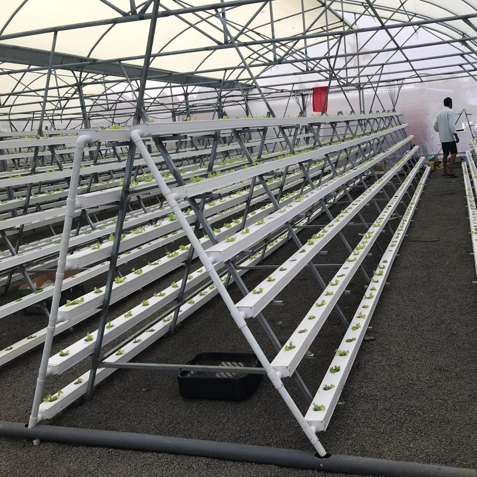 Agriculture Greenhouse Complete Nft Channel Hydroponics System for Sale