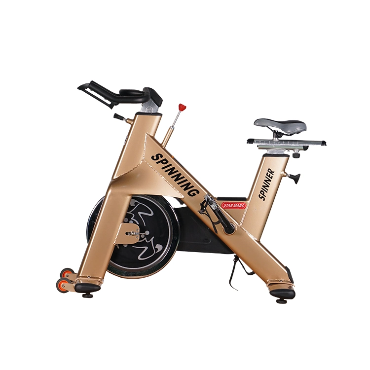 Leekon Custom Indoor Slimming Spin Bike Weight Loss Gym Fitness Commercial Workout Equipment