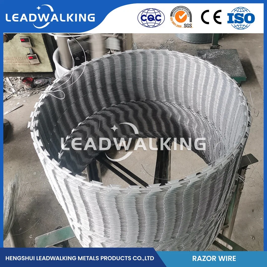 Leadwalking Spiral Barbed Wire Fabricators 6 Strands Steel Wire Flat Razor Barbed Wire China 18#X18# Swg Rust Proof Razor Barbed Wire