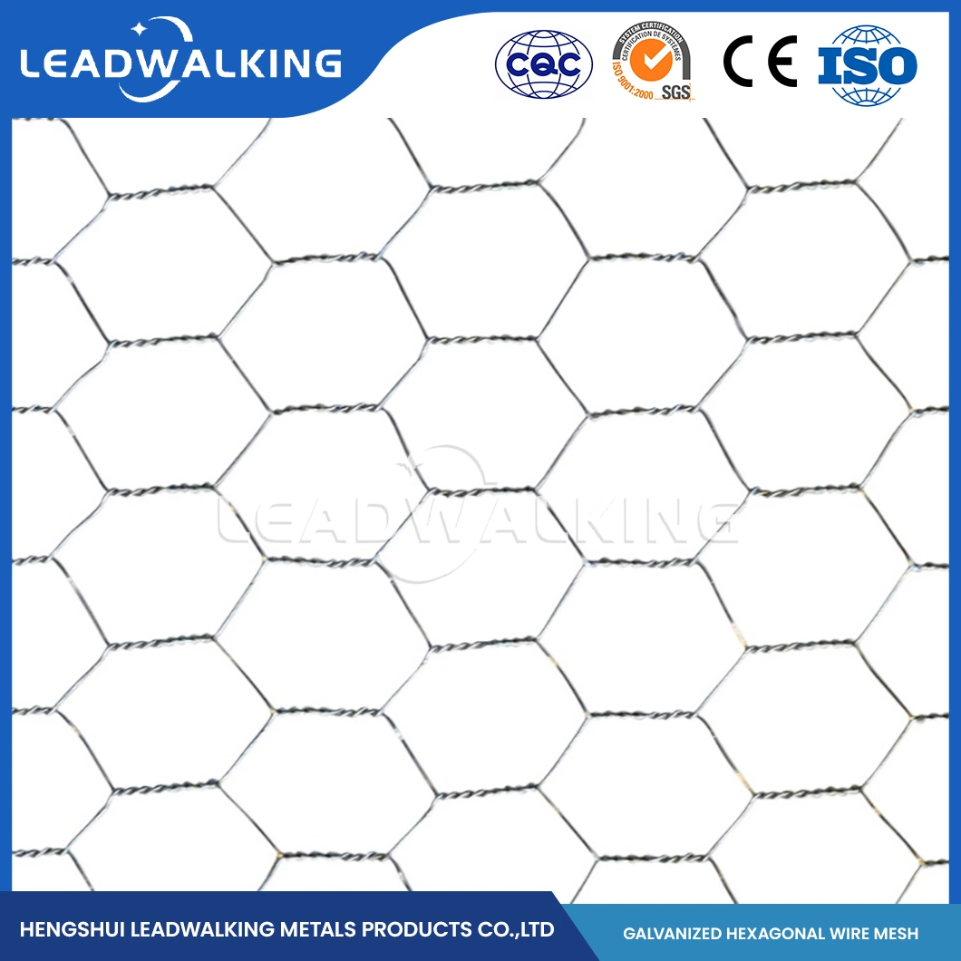 Leadwalking China Acero suave fábrica de malla tejido PVC alambre material Malla de 3 pulgadas Red hexagonales recubierta de plástico