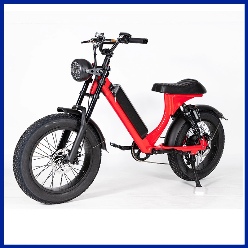 20 Zoll Folding Fat Tire Ebike