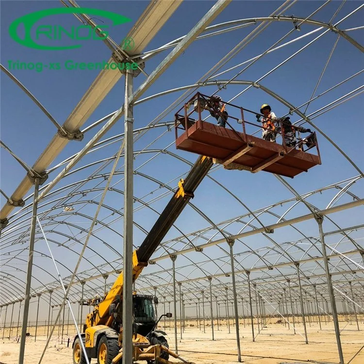 Commercial Large Plastic Film Green House with Shading System for Cultivation