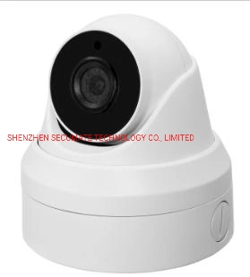 4K CCTV Security Mini Dome IP Camera with 180 Degree or 360 Degree Fisheye Lens Onvif Wired Poe 4/5/8 Megapixel 4K IP Video Camera Supplier