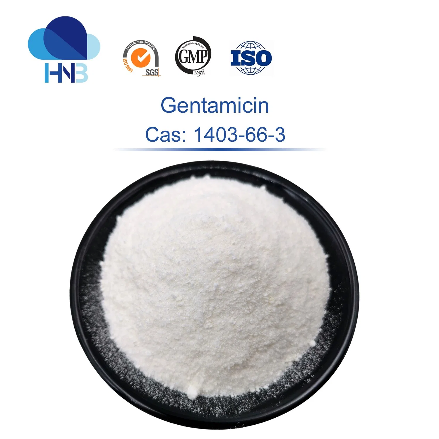 Pharmaceutical Raw Materials Gentamicin CAS 15686-71-2 Gentamicin Powder