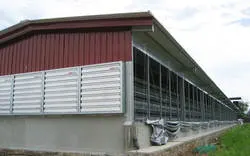 Stahl Struktur Farm Equipment Hühnerhaus für Philippinen vorgefertigtes Geflügel Haus