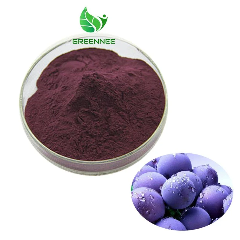 Antioxidant Skincare Material Grape Seed Extract 90% Proanthocyanidins