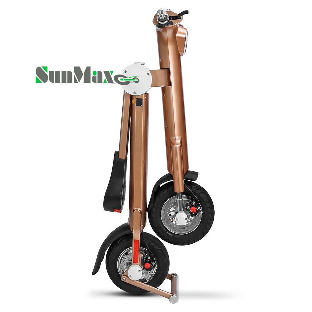 Electric Scooter, The Lightest E-Scooter Electric Skateboard for Switzerland