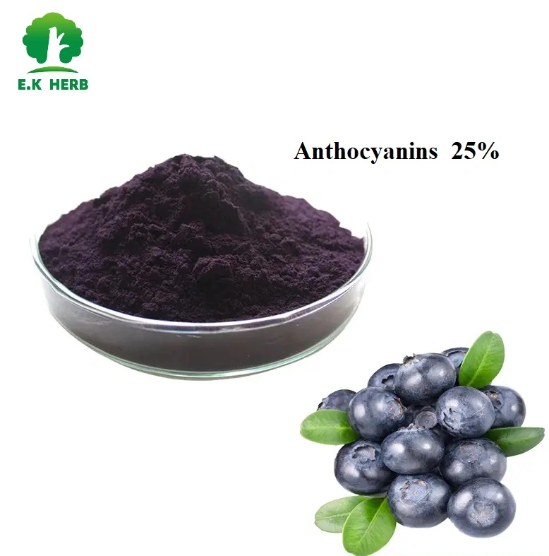 E. K ISO Factory Supply Hot Selling 100% Pure European Bilberry Extract CAS 84082-34-8 Blueberry Extract Organic Certified Vision Protection Bilberry Extract