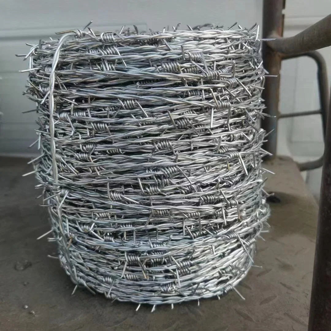 Hot Sale Galvanized or PVC Coated Barbed Wire for Fence