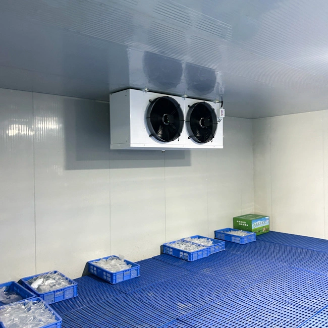 Cold Room Cold Storage Fresh Fruit Cooling Room Refrigerator Cooling Chamber
