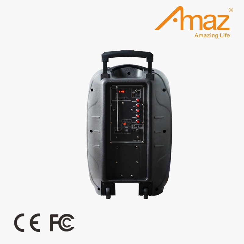 Amaz Original Factory Wholesale/Supplier Price 12 Inch Wireless Bt Speaker Trolley Speaker for Party