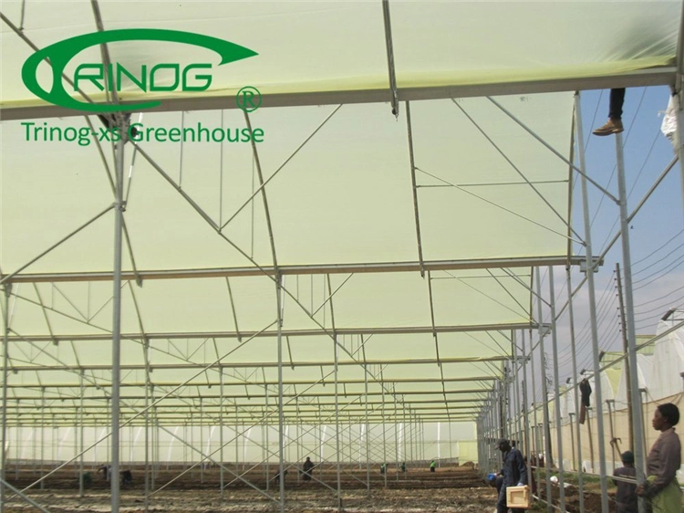 Agriculture Vegetables Equipment Multi-Span Cultivation Hydroponics System Film Greenhouse