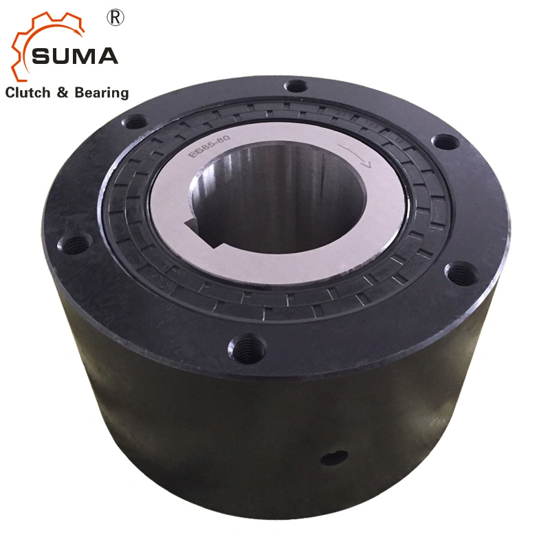 BS30 One Way Holdback Cam Clutch for Gearbox