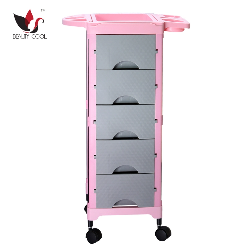 Best Price Salon Furniture Hairdressing Trolley Salon Equipment