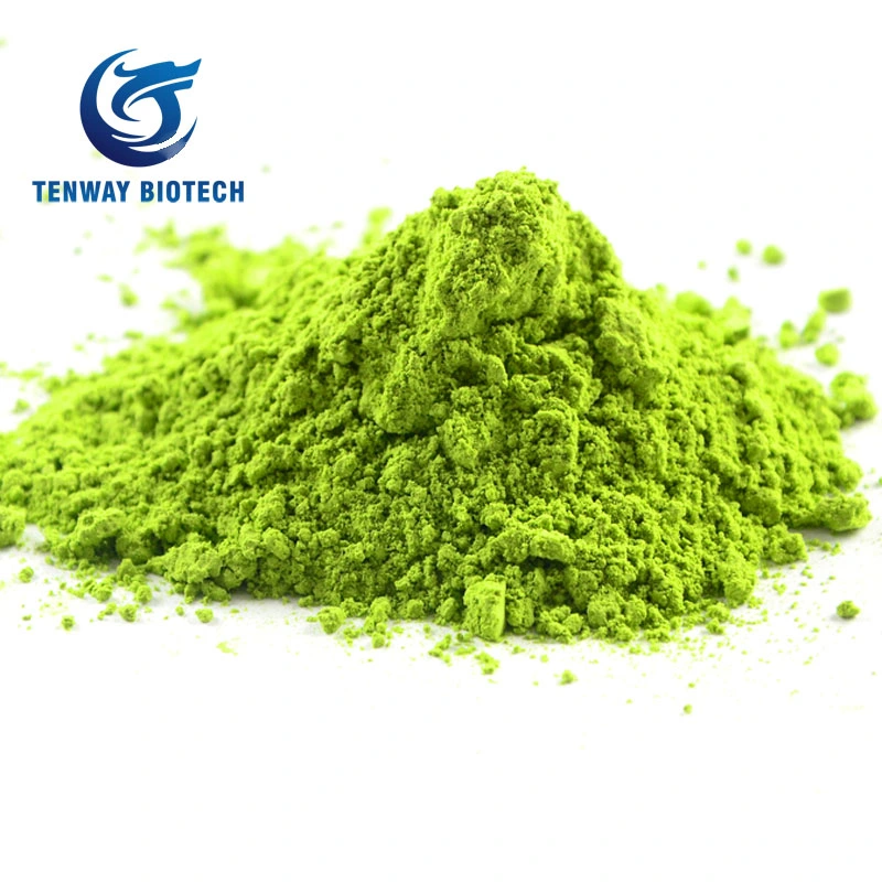 Natural Food Ingredient/Food Additive Fresh Fragrant Health Matcha Green Tea Powder for Drink