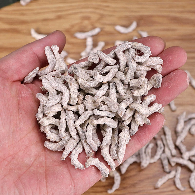 Natural Organic Herbal Jiang Can Wholesale/Supplier Traditional Chinese Medicine Silkworm Eggs